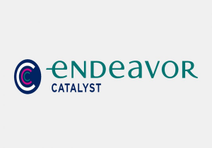 Silikon Vadisi'nin Dışına Yatırım: Endeavor Catalyst 320 Milyon Dolarlık Yeni Fon Topladı