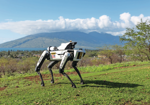 Robot Köpekler Tarlada: Güvenlikten Çıkıp Tarım Sahasına İniyorlar